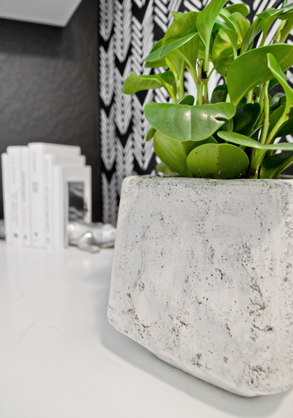 cement planter